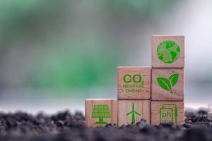Green business and sustainable development. Wooden cubes with clean energy icon on soin.