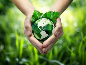 ROLLENLAND gruene Umwelt